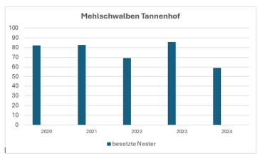 Statistik Mehlschwalben Tannenhof