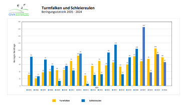 Beringungsstatistik Turmfalken und Schleiereulen 2005 - 2024 365x209